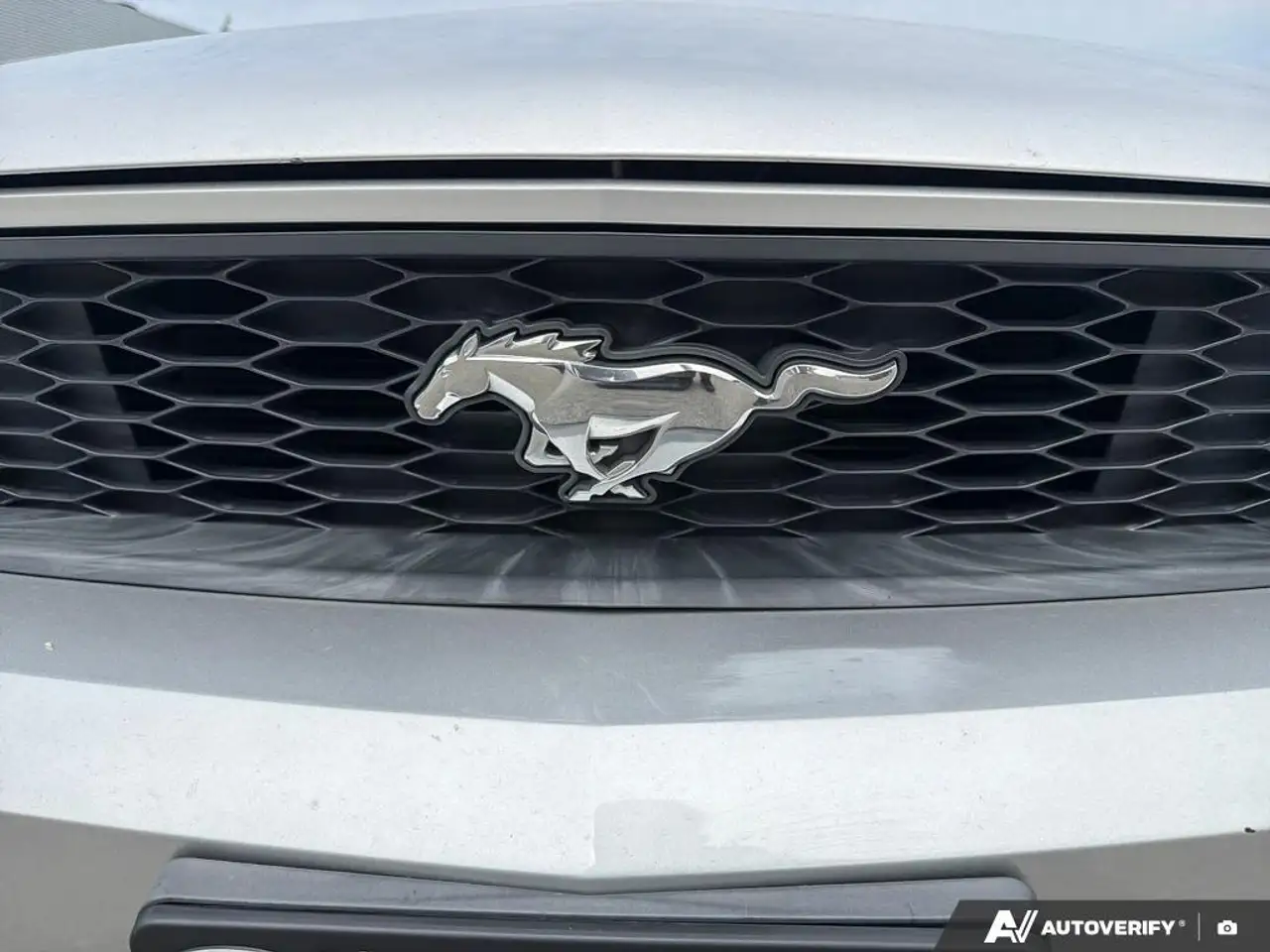 Ford Mustang photo Ford Mustang