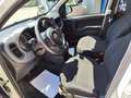 Fiat Panda Panda III 2021 Cross 1.0 firefly hybrid Cross s Bianco - thumbnail 6