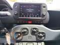 Fiat Panda Panda III 2021 Cross 1.0 firefly hybrid Cross s Bianco - thumbnail 9