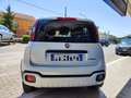 Fiat Panda Panda III 2021 Cross 1.0 firefly hybrid Cross s Bianco - thumbnail 3