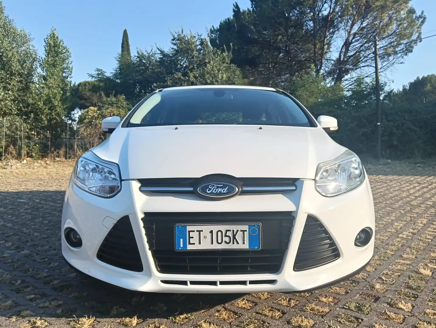 Ford Focus 5p 1.6 tdci Plus Business 115cv Blanco - 2