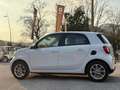 smart forFour 90  PASSION TWINAMIC+NAVIG.+PACK LED+PAQCK COMFORT Bianco - thumbnail 7