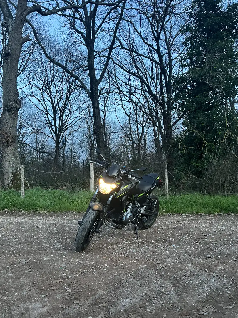 Kawasaki Z 650 abs Verde - 1