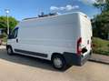 Citroen Jumper Kastenwagen 2.2 Weiß - thumbnail 5