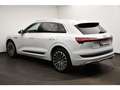 Audi e-tron 50 quattro S line Pano/ACC/Rückkam Weiß - thumbnail 17
