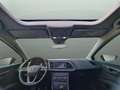 SEAT Leon 1.6TDI CR S&S Style 105 Gris - thumbnail 15