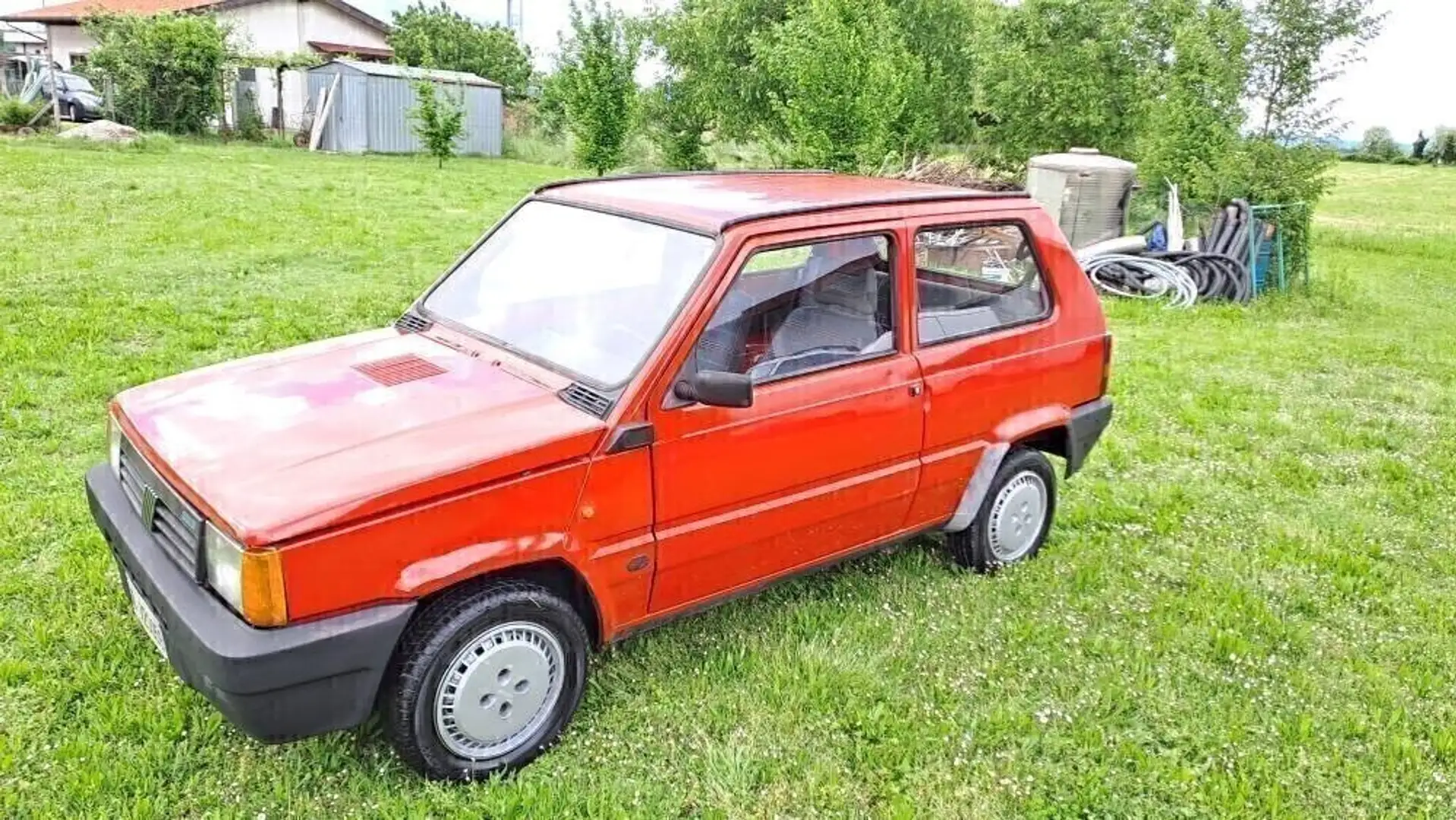Fiat Panda 1000 i.e. cat CL Rot - 2