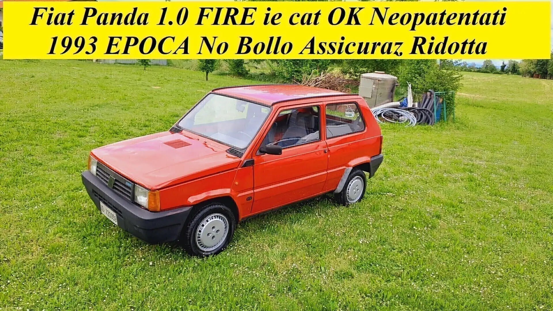 Fiat Panda 1000 i.e. cat CL Rot - 1