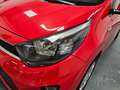 Kia Picanto Picanto 1.0 Active Gpl my18 Rot - thumbnail 17