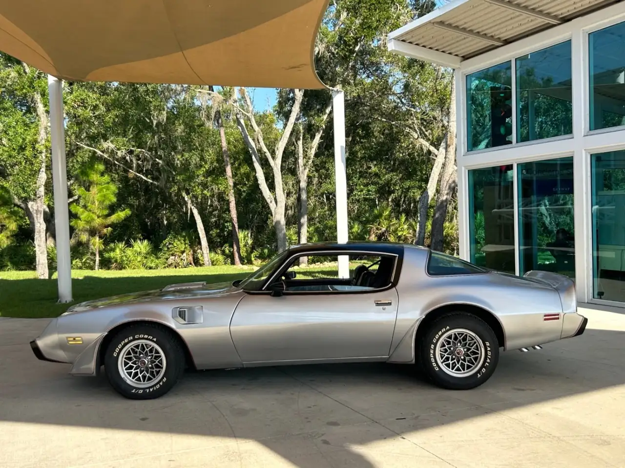Pontiac Firebird Trans Am, foto 11