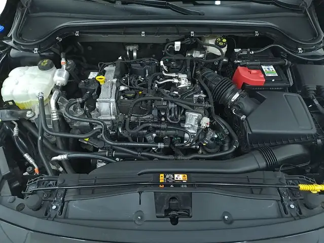 Ford Focus view 13