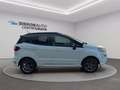 Ford EcoSport 1.0 ecoboost ST-Line s&s 125cv auto my20.25 Bianco - thumbnail 6