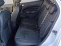 Ford EcoSport 1.0 ecoboost ST-Line s&s 125cv auto my20.25 Bianco - thumbnail 10