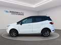 Ford EcoSport 1.0 ecoboost ST-Line s&s 125cv auto my20.25 Bianco - thumbnail 2