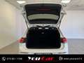 Volkswagen Golf 1.0 tsi evo Life 110cv Bianco - thumbnail 7