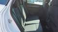 Skoda Karoq Style, LED, PDC, SR+WR, Apple CarPlay Bianco - thumbnail 31
