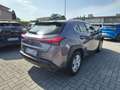 Lexus UX 250h UX Hybrid Business Grigio - thumbnail 4