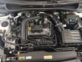 Volkswagen Taigo Life 1.0 TSI 110cv Alb - thumbnail 29