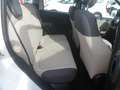 Fiat Panda Panda 1.3 MJT 95 CV S&S Easy Weiß - thumbnail 6