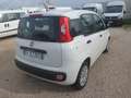 Fiat Panda Panda 1.3 MJT 95 CV S&S Easy Weiß - thumbnail 4