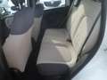 Fiat Panda Panda 1.3 MJT 95 CV S&S Easy Weiß - thumbnail 10
