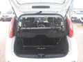 Fiat Panda Panda 1.3 MJT 95 CV S&S Easy Weiß - thumbnail 5