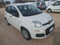 Fiat Panda Panda 1.3 MJT 95 CV S&S Easy Weiß - thumbnail 2