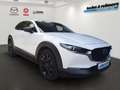 Mazda CX-30 SKYACTIV-G 122 Autom. Homura Weiß - thumbnail 3