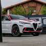 Alfa Romeo Stelvio 2.9 Bi-Turbo AR Racing AT8 Wit - thumbnail 15