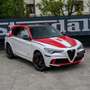 Alfa Romeo Stelvio 2.9 Bi-Turbo AR Racing AT8 Blanco - thumbnail 16