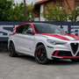Alfa Romeo Stelvio 2.9 Bi-Turbo AR Racing AT8 Blanc - thumbnail 13