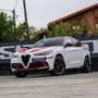 Alfa Romeo Stelvio 2.9 Bi-Turbo AR Racing AT8 Wit - thumbnail 4