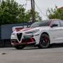 Alfa Romeo Stelvio 2.9 Bi-Turbo AR Racing AT8 Blanco - thumbnail 6