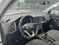 SEAT Ateca 2.0 TDI 85kW (115CV) S&S Style Go "M" Blanco - thumbnail 7