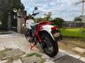 Moto Guzzi V 75 Bianco - thumbnail 3