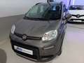 Fiat Panda 1.0 Gse Hybrid Gris - thumbnail 1