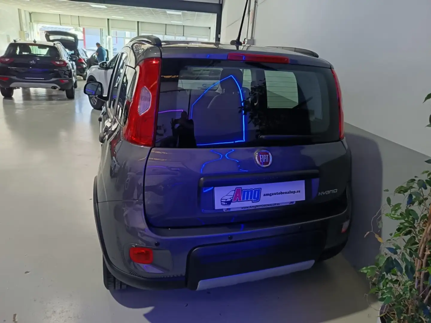 Fiat Panda 1.0 Gse Hybrid Gris - 2