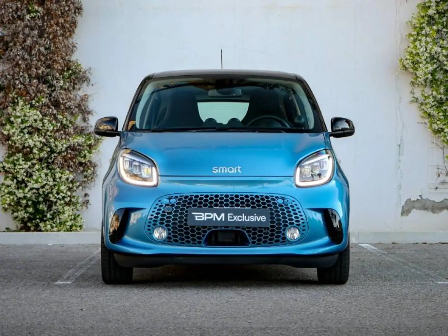smart forFour Electrique 82ch Prime - 2