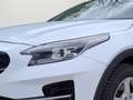 Kia XCeed Plug-in Hybrid Vision~PrivatVorbesitz White - thumbnail 6
