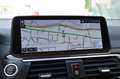 BMW X3 xDrive20d Luxury Line Head-Up HiFi DAB LED Gelb - thumbnail 15