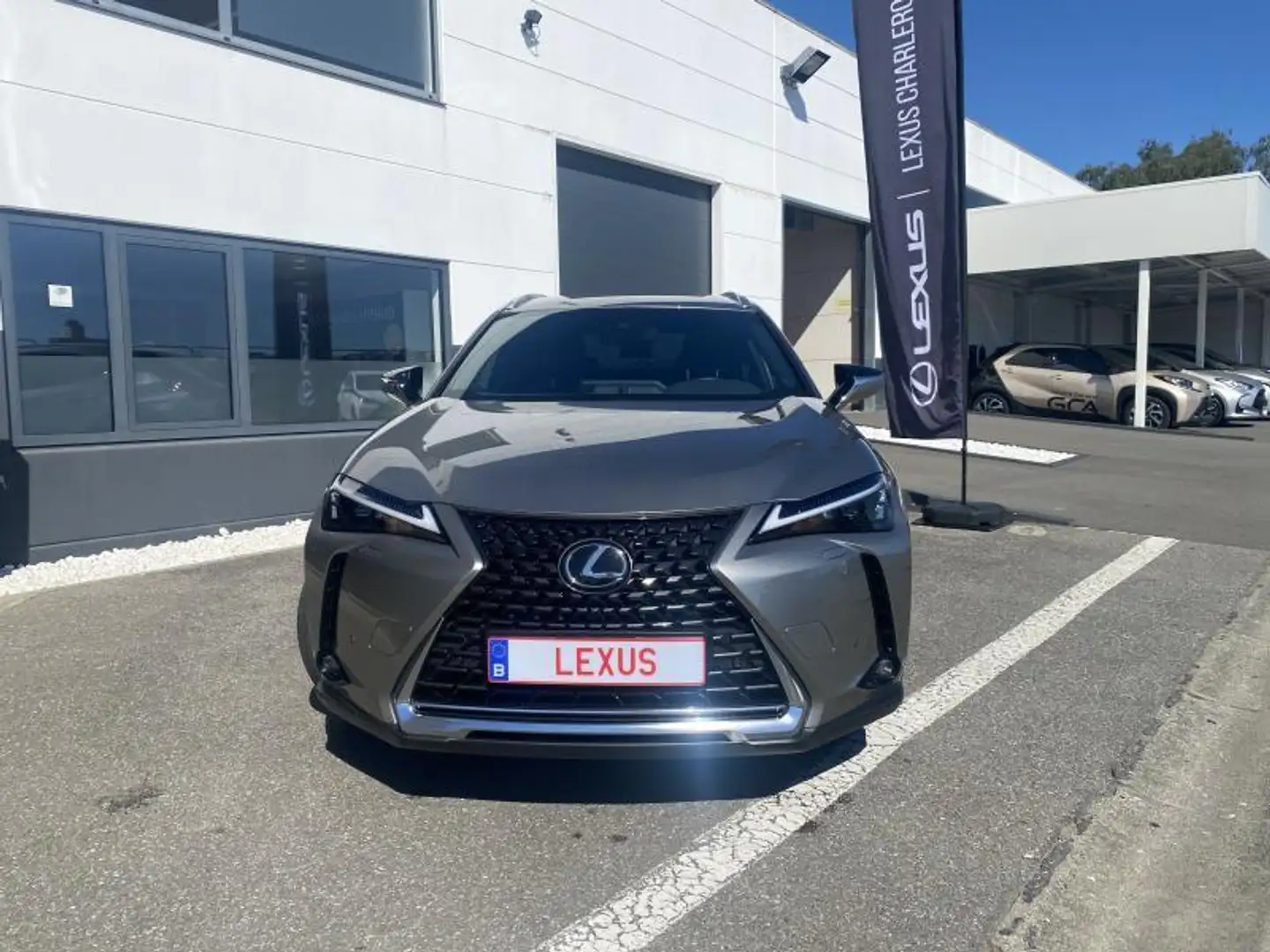 Lexus UX 250h Executive Line Gris - 2