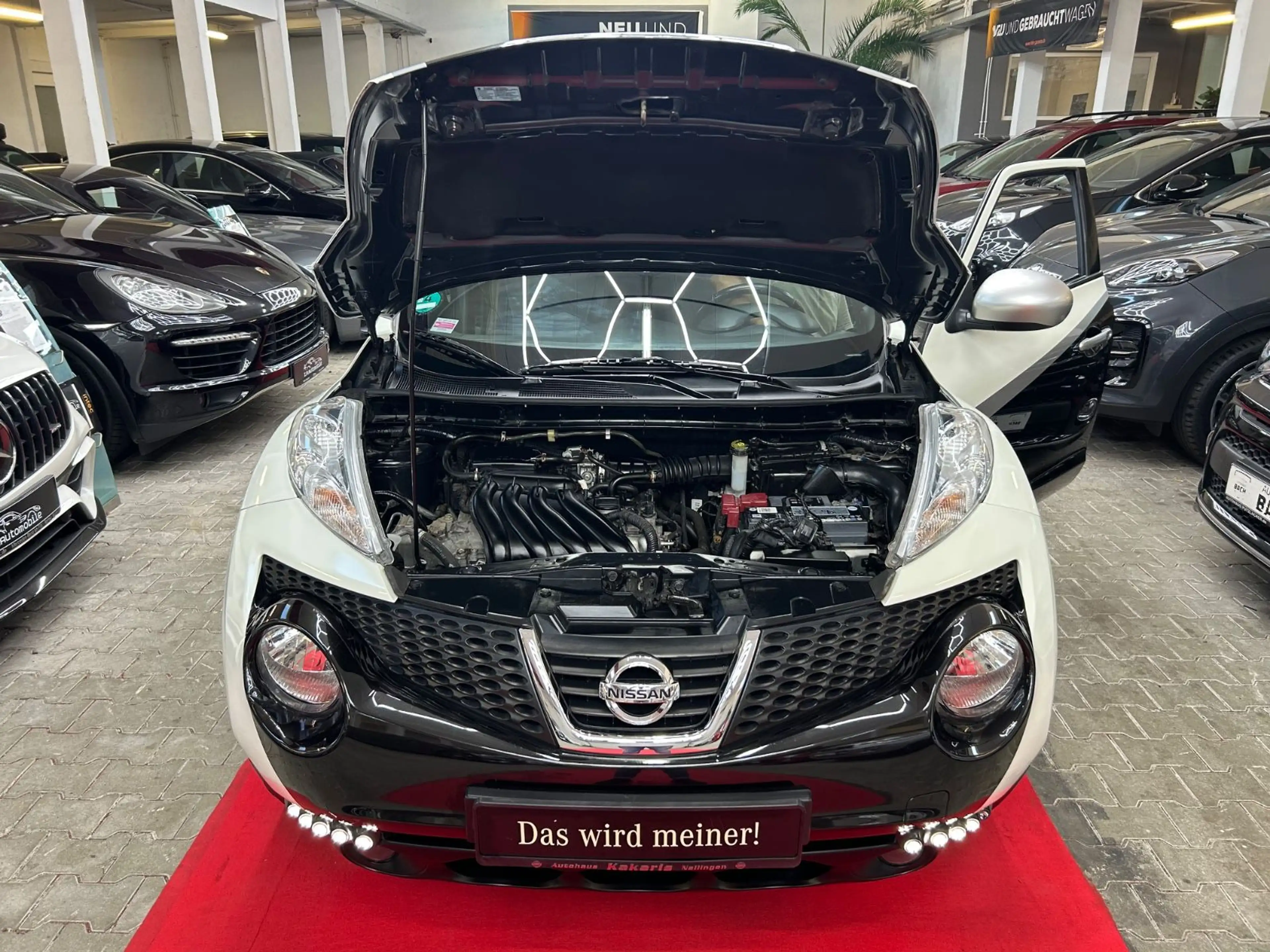 Nissan Juke Shiro/TÜV NEU/RFK/KLIMAAUTO/NAVI/TEMP/LEDER — photo 15