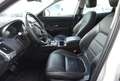 Jaguar E-Pace E-Pace 2.0D I4 163 CV AWD Auto S Bianco - thumbnail 7
