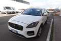 Jaguar E-Pace E-Pace 2.0D I4 163 CV AWD Auto S Bianco - thumbnail 2
