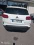 Citroen C5 Aircross 1.5 bluehdi Business s&s 130cv eat8 my20 Wit - thumbnail 4