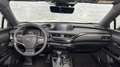 Lexus UX 250h First Edition / Stoel/stuurverwr. / Carplay / ACC Grijs - thumbnail 25