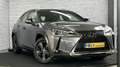 Lexus UX 250h First Edition / Stoel/stuurverwr. / Carplay / ACC Grijs - thumbnail 1