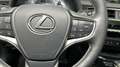 Lexus UX 250h First Edition / Stoel/stuurverwr. / Carplay / ACC Grijs - thumbnail 27