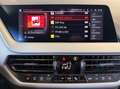 BMW 116 i Advantage LiveCprof+LED+SITZH+TEMP+WLAN+DAB Schwarz - thumbnail 18