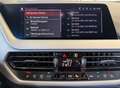 BMW 116 i Advantage LiveCprof+LED+SITZH+TEMP+WLAN+DAB Schwarz - thumbnail 21
